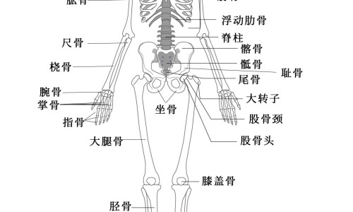 天天吃五谷杂粮会不会缺乏营养-天天吃五谷杂粮的功效和作用-专业天天吃五谷杂粮的功效和作用是什么平台-经常吃五谷杂粮对身体好吗