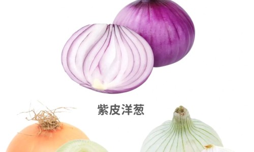 天天吃五谷杂粮的功效和作用-专业天天吃五谷杂粮的功效和作用是什么平台-经常吃五谷杂粮对身体好吗